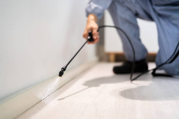 Licensed Termite Control service in Adams, WI - Show Me Pest Control